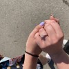 Sophia - Förlovningsring med moissanit och pavéfattade sidostenar